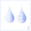 Water drop with infusorias and amoebas, pure drop of water. Health and medical illustration Royalty Free Stock Photo